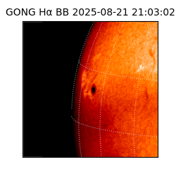 gong - 2025-08-21T21:03:02