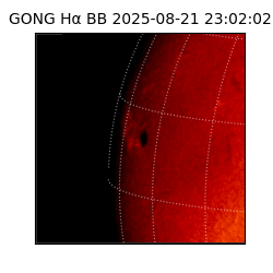 gong - 2025-08-21T23:02:02