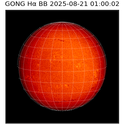 gong - 2025-08-21T01:00:02