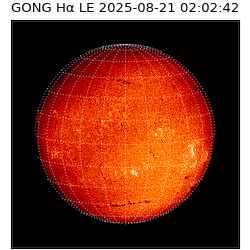 gong - 2025-08-21T02:02:42
