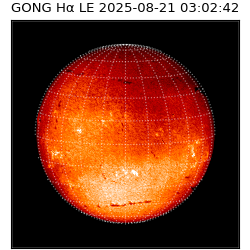 gong - 2025-08-21T03:02:42