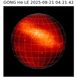 gong - 2025-08-21T04:21:42