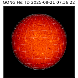 gong - 2025-08-21T07:36:22
