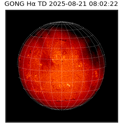 gong - 2025-08-21T08:02:22