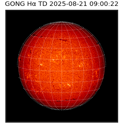 gong - 2025-08-21T09:00:22