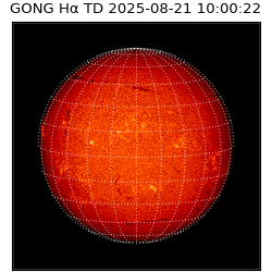 gong - 2025-08-21T10:00:22