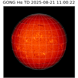 gong - 2025-08-21T11:00:22