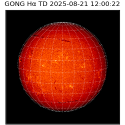 gong - 2025-08-21T12:00:22