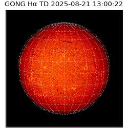 gong - 2025-08-21T13:00:22