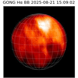 gong - 2025-08-21T15:09:02