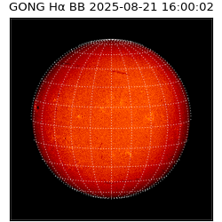 gong - 2025-08-21T16:00:02
