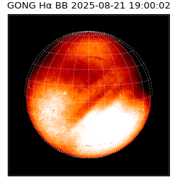 gong - 2025-08-21T19:00:02