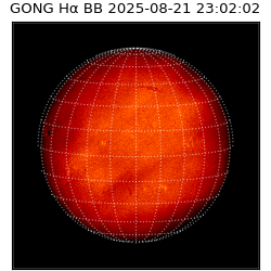 gong - 2025-08-21T23:02:02