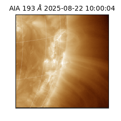 saia - 2025-08-22T10:00:04.843000