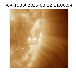 saia - 2025-08-22T11:00:04.843000