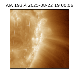 saia - 2025-08-22T19:00:06.232000