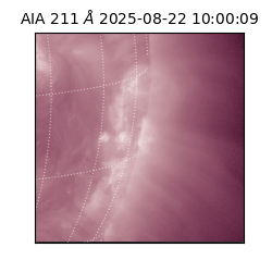 saia - 2025-08-22T10:00:09.626000