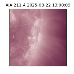 saia - 2025-08-22T13:00:09.626000