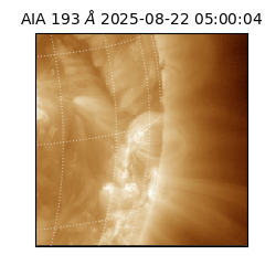 saia - 2025-08-22T05:00:04.842000