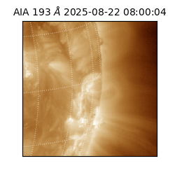 saia - 2025-08-22T08:00:04.843000