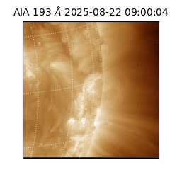 saia - 2025-08-22T09:00:04.843000