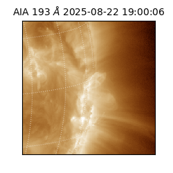 saia - 2025-08-22T19:00:06.232000