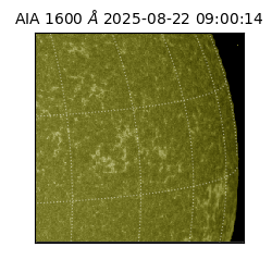 saia - 2025-08-22T09:00:14.130000