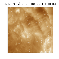 saia - 2025-08-22T10:00:04.843000