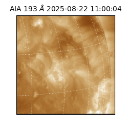 saia - 2025-08-22T11:00:04.843000