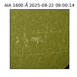 saia - 2025-08-22T09:00:14.130000