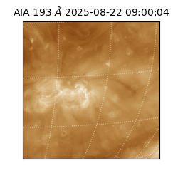 saia - 2025-08-22T09:00:04.843000