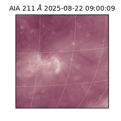 saia - 2025-08-22T09:00:09.626000