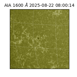 saia - 2025-08-22T08:00:14.130000