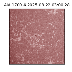 saia - 2025-08-22T03:00:28.720000