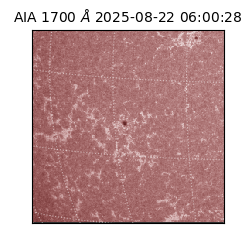 saia - 2025-08-22T06:00:28.718000