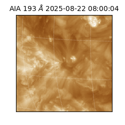 saia - 2025-08-22T08:00:04.843000