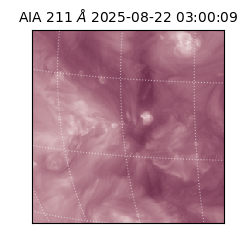 saia - 2025-08-22T03:00:09.632000