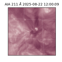 saia - 2025-08-22T12:00:09.626000