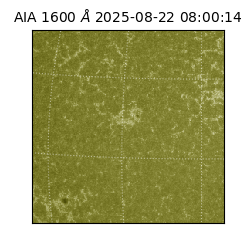 saia - 2025-08-22T08:00:14.130000