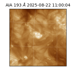 saia - 2025-08-22T11:00:04.843000