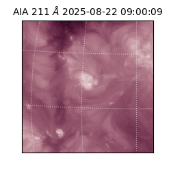 saia - 2025-08-22T09:00:09.626000