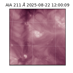 saia - 2025-08-22T12:00:09.626000