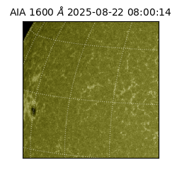 saia - 2025-08-22T08:00:14.130000