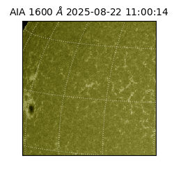 saia - 2025-08-22T11:00:14.125000