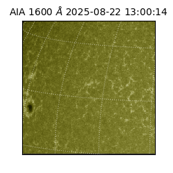 saia - 2025-08-22T13:00:14.126000