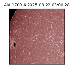 saia - 2025-08-22T03:00:28.720000