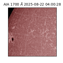 saia - 2025-08-22T04:00:28.717000