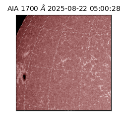 saia - 2025-08-22T05:00:28.718000