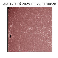 saia - 2025-08-22T11:00:28.717000