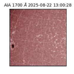 saia - 2025-08-22T13:00:28.717000